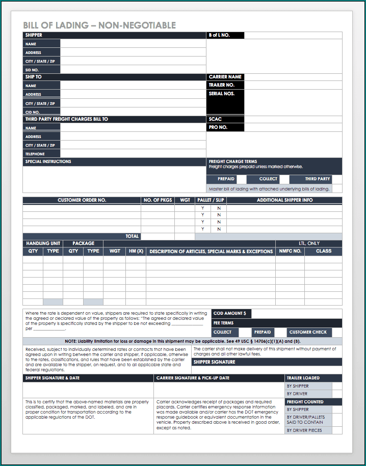 Bill Of Lading Form Example