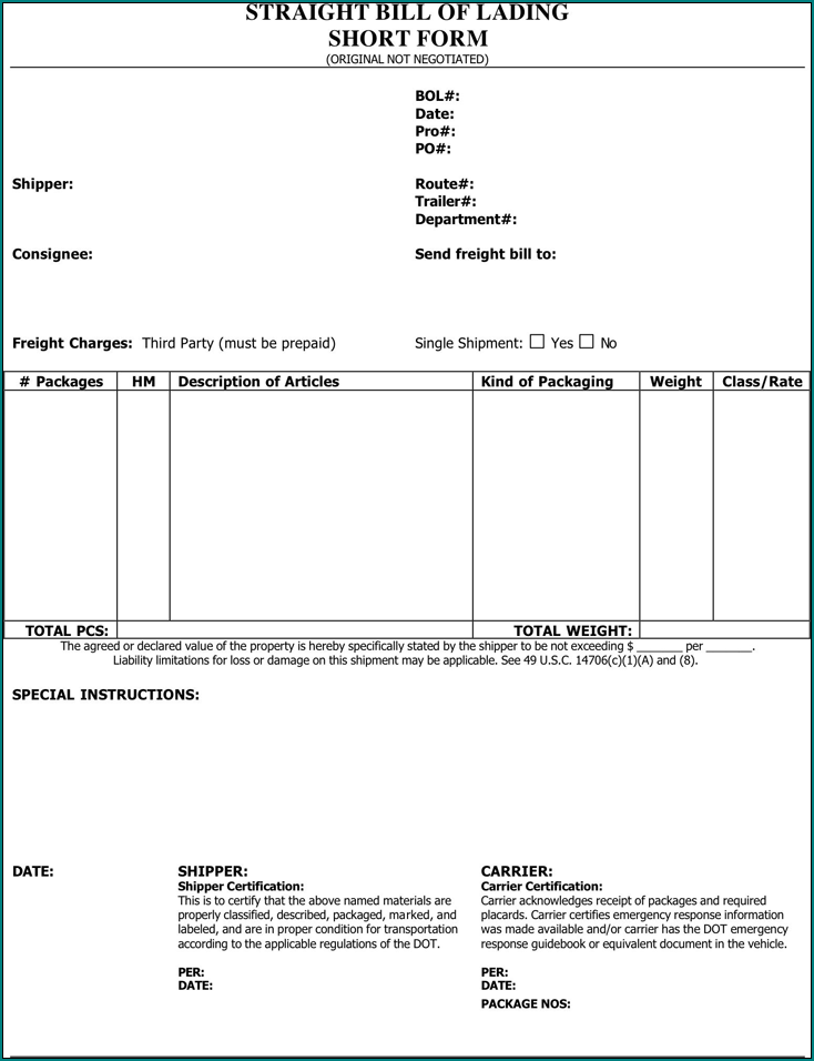 Blank Bill Of Lading Template Example