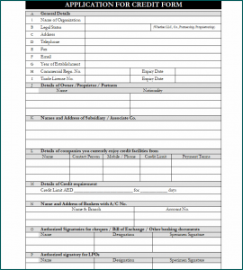 Customer Credit Application Form