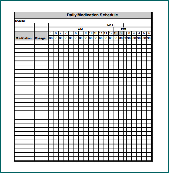 Daily Medication Schedule Template Example