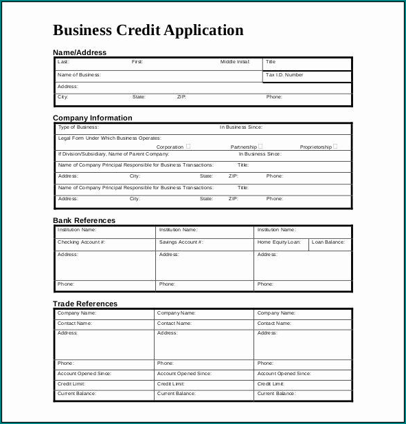 Example of Commercial Credit Application Form