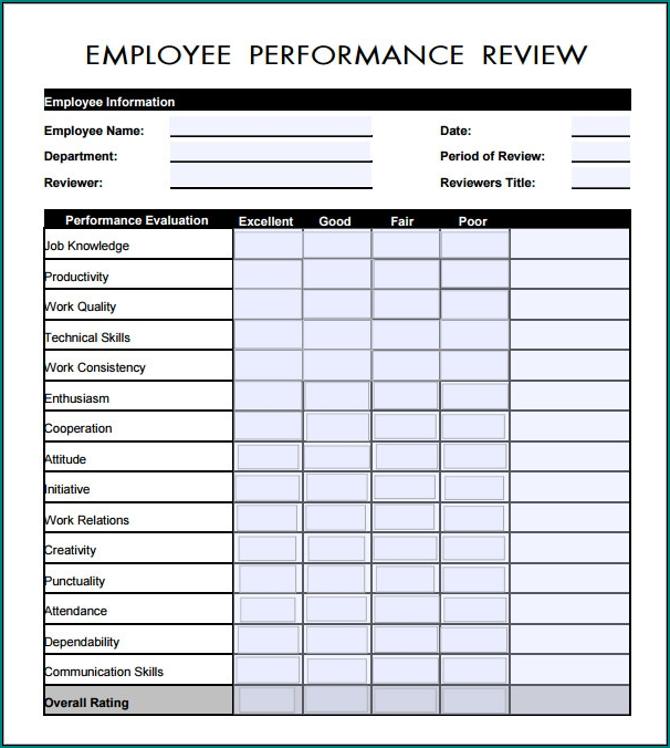 Example of Employee Review Form