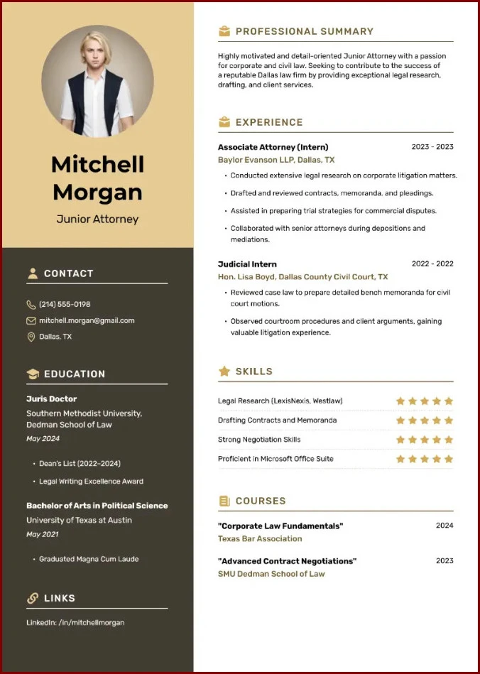 Example of Lawyer Resume Template