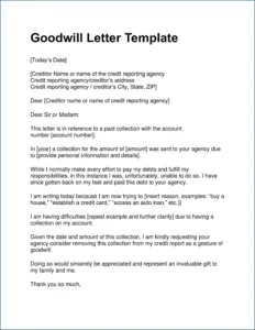 Example of Letter of Goodwill Template