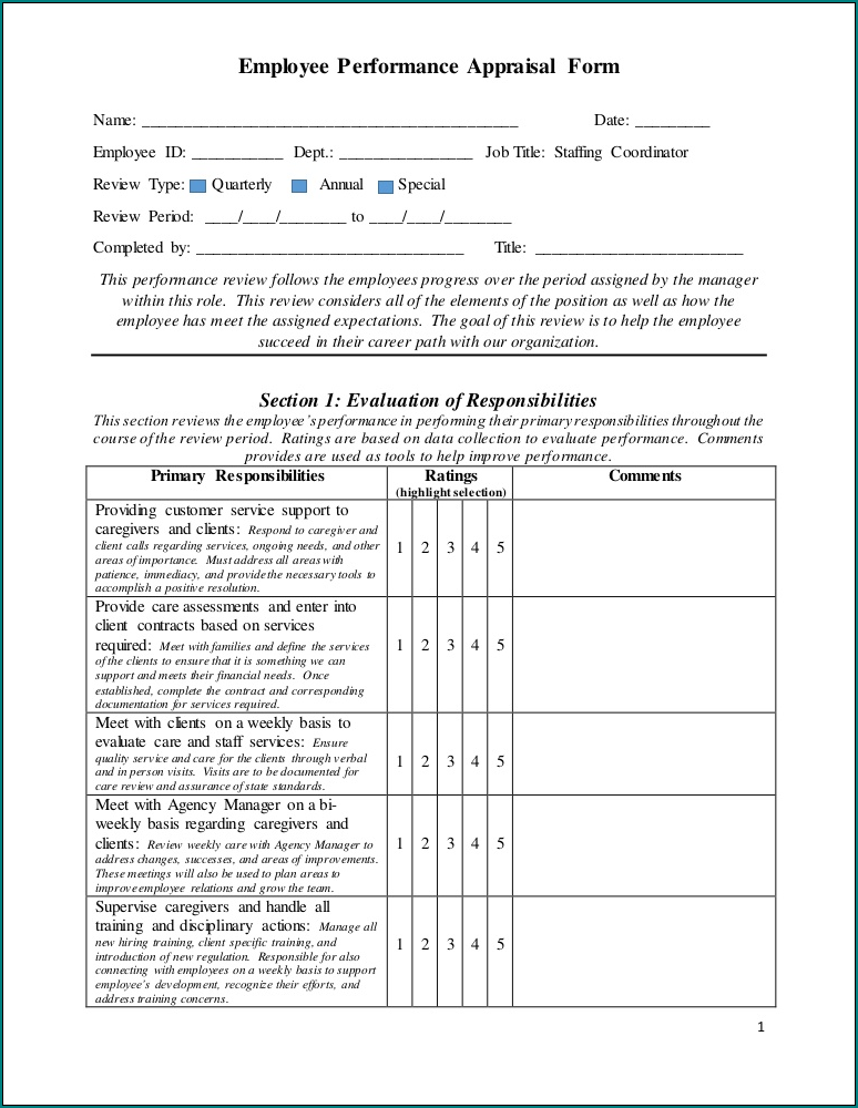 Example of Performance Appraisal Template