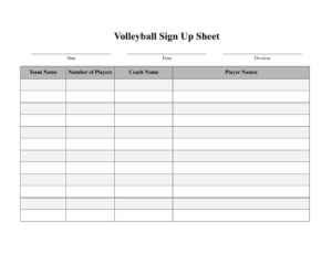 Example of Volleyball Signup Sheet Template