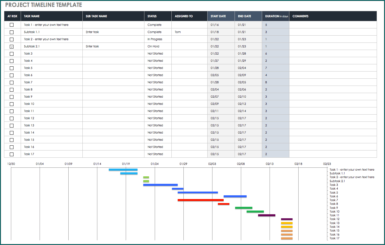 Excel Timeline Template Example
