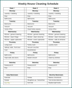 House Cleaning Schedule Template Example