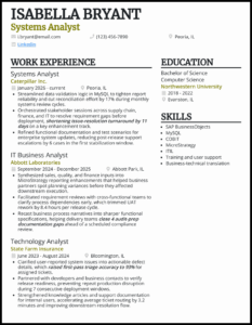 IT resume template download