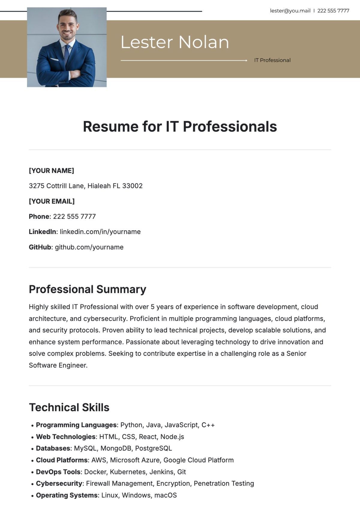 IT resume template free download