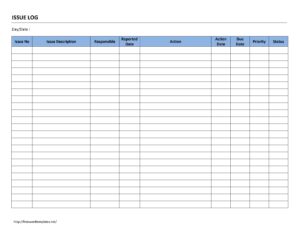 Issue Log Template