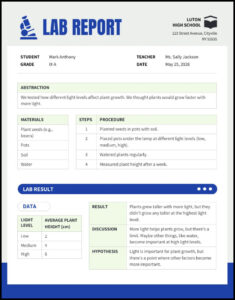 Lab Report Template Sample