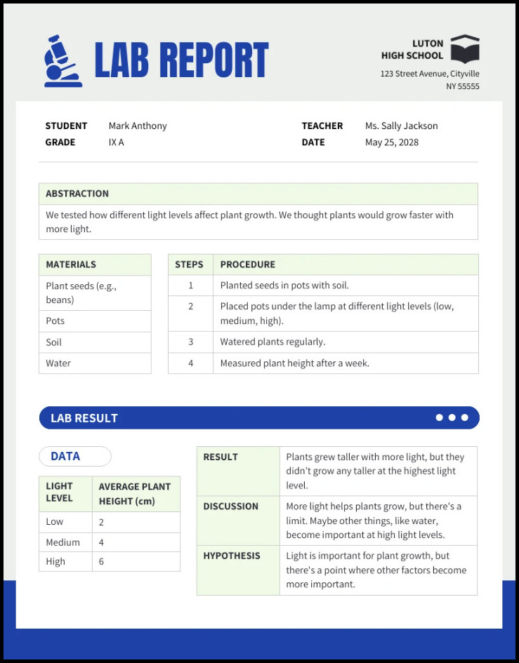 Lab Report Template Sample