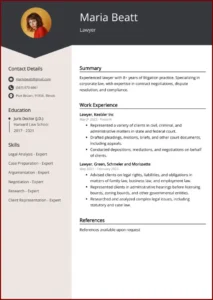 Lawyer Resume Template Example