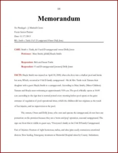 Legal Memo Template Example