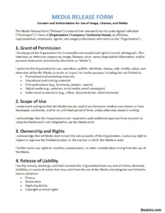 Media Release Form Template Word