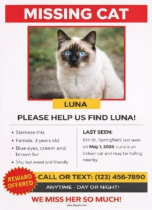 Missing Cat Poster Template
