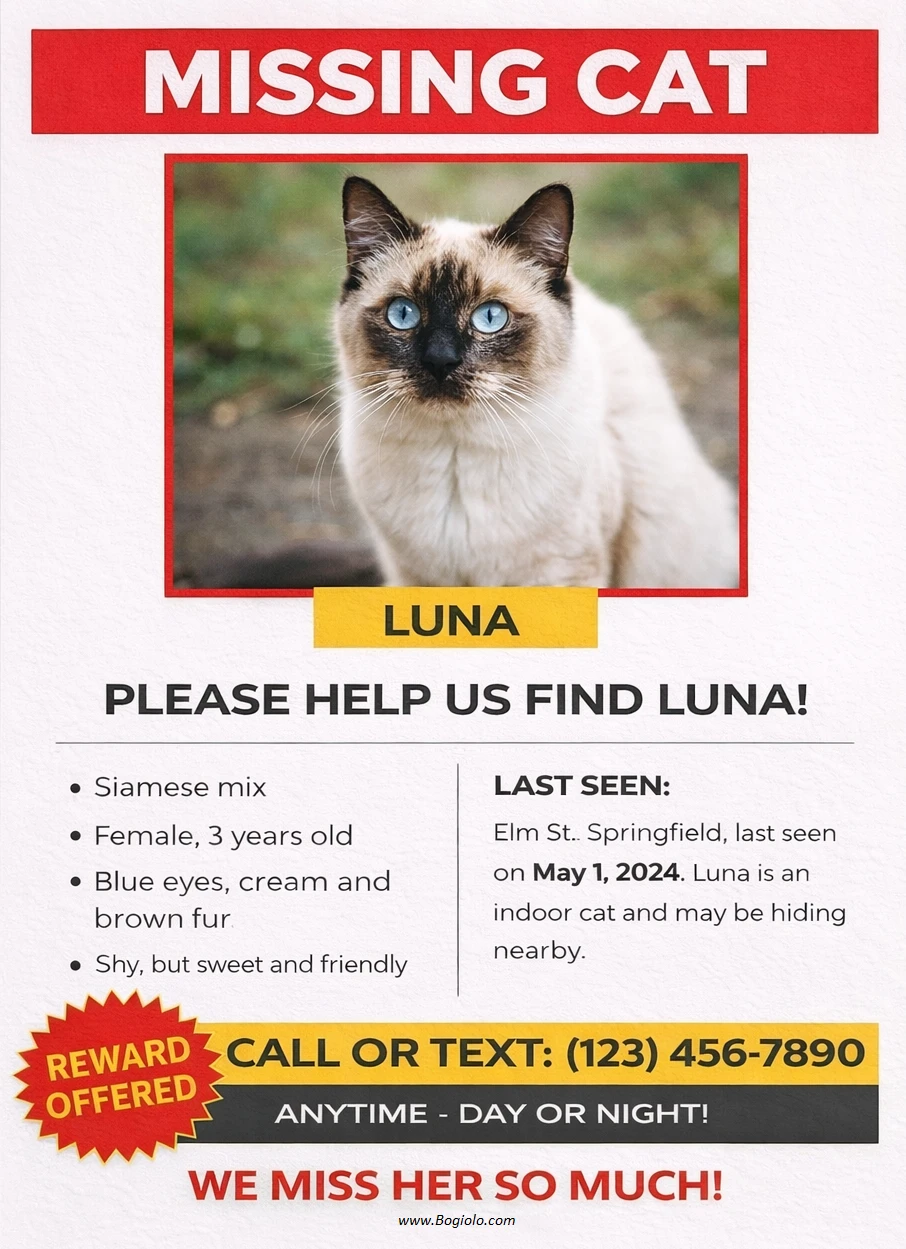 Missing Cat Poster Template Missing Cat Poster Template