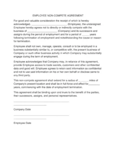 Non competition Agreement Template