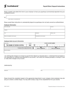 Payroll Direct Deposit Form Sample