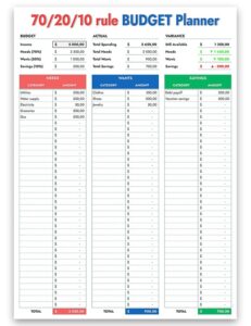 Picnic Money Management Template