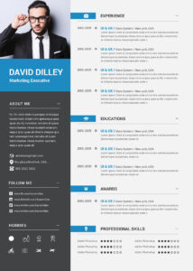 Professional CV Template Example