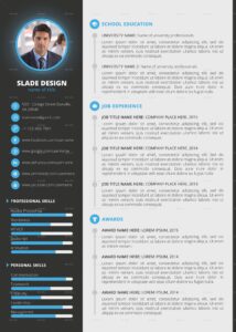 Professional CV Template Sample
