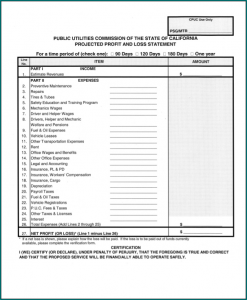 Profit And Loss Statement Excel Example