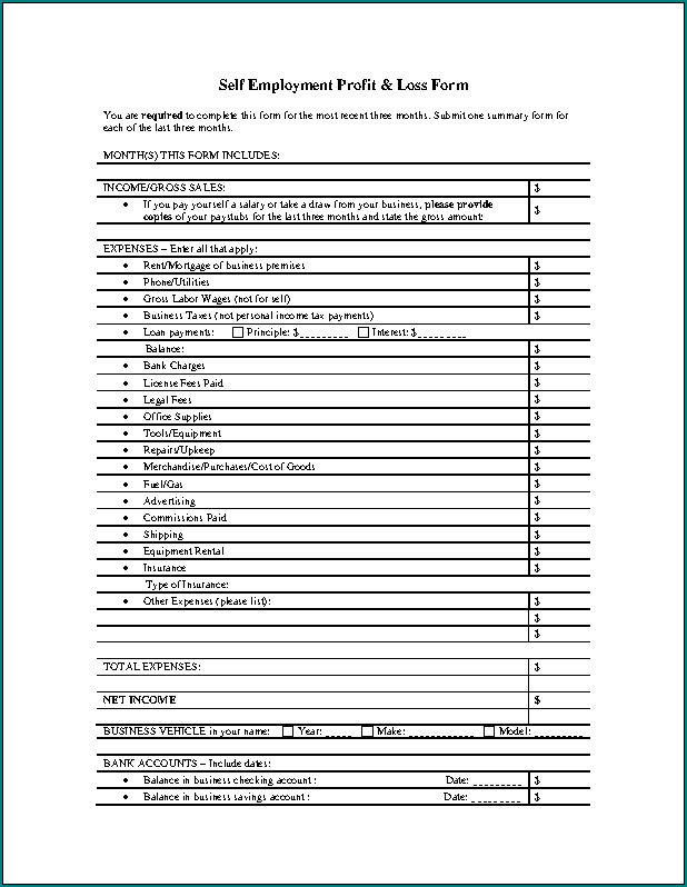 Profit And Loss Statement Template For Self Employed Sample