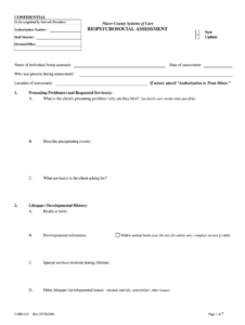 Psychosocial Assessment Template