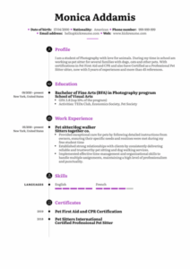 Recent College Graduate Resume Template