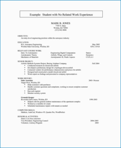 Resume Template with No Work Experience Sample