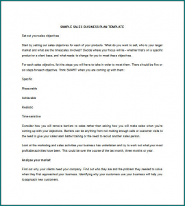 Sales Business Plan Template Sample