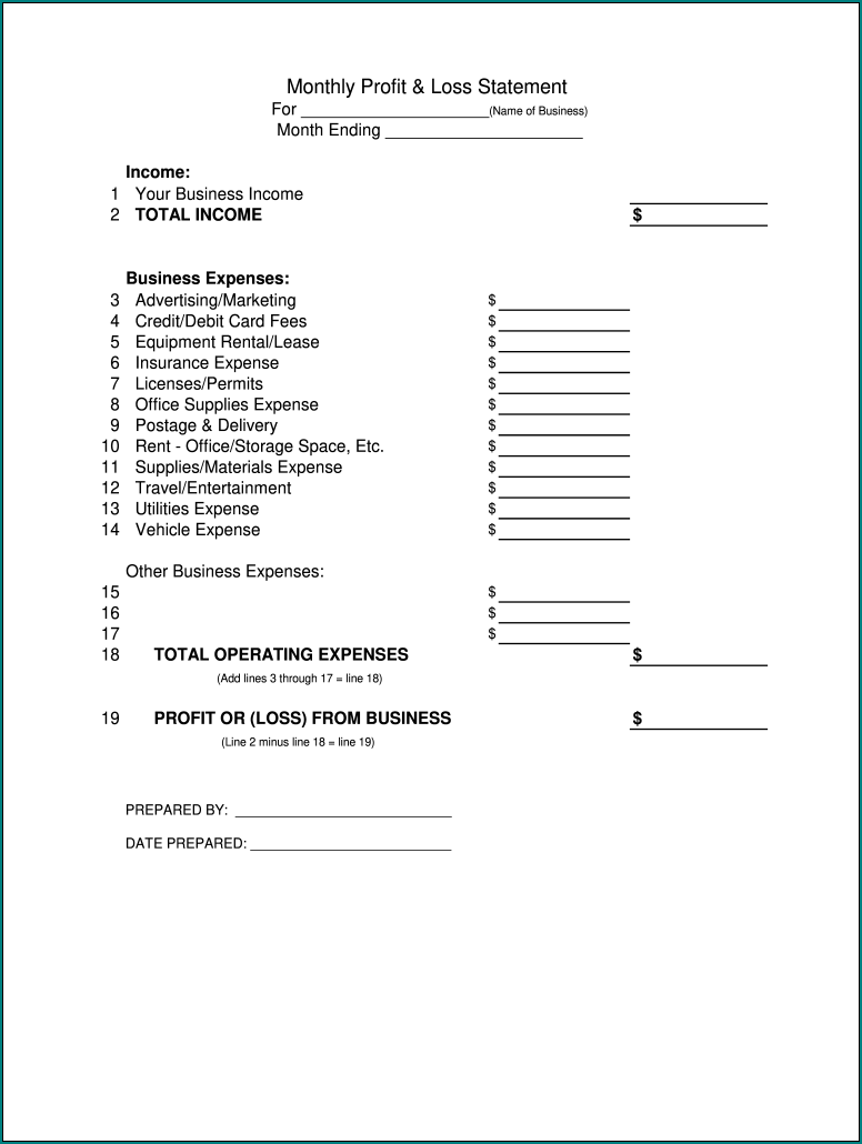 Sample of Basic Profit And Loss Statement Template