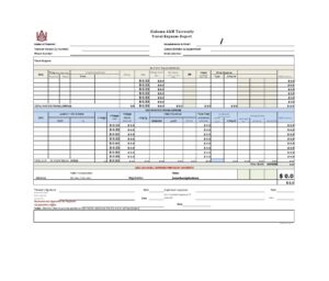 Travel Expense Report Template