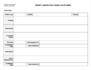Vendor Internal Audit Checklist Template Word