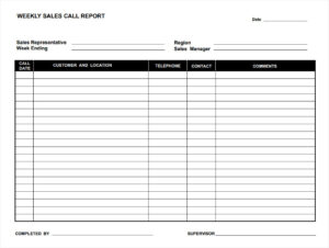 Weekly Sales Call Report Template