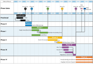 milestone chart template sample
