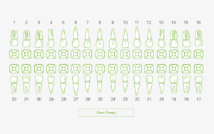 sample of printable dental chart template
